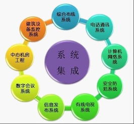拉勾網(wǎng) 信息系統(tǒng)集成服務(wù)的價(jià)值與未來(lái)趨勢(shì)